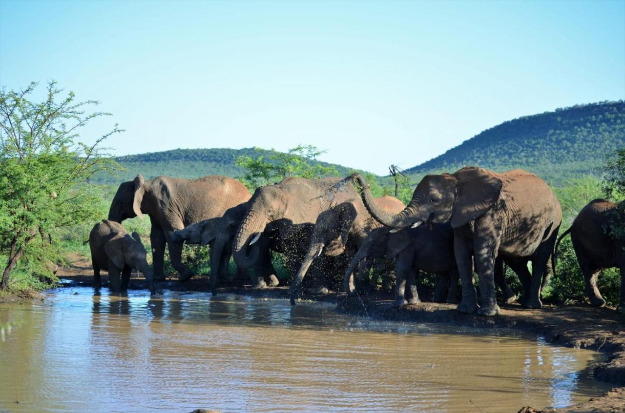 Motswiri Private Safari Lodge Мадікве-Ґейм-Резерв Екстер'єр фото