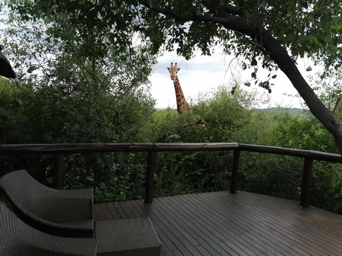 Motswiri Private Safari Lodge Мадікве-Ґейм-Резерв Екстер'єр фото