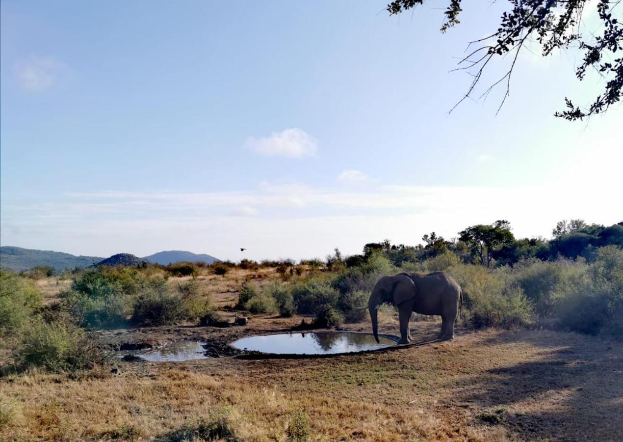 Motswiri Private Safari Lodge Мадікве-Ґейм-Резерв Екстер'єр фото